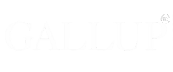 gallup-logo-190-v2